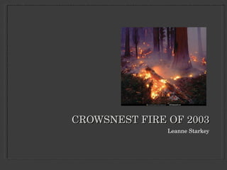 CROWSNEST FIRE OF 2003 ,[object Object]
