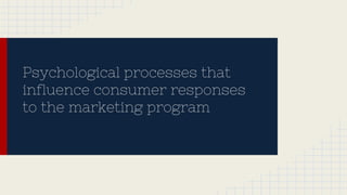 Psychological processes that
influence consumer responses
to the marketing program
 