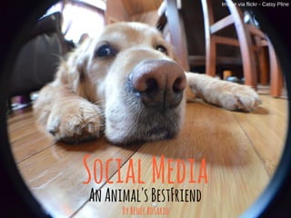 SocialMedia
AnAnimal'sBestFriend
Image via flickr - Catsy Pline
ByRenéeRosario
 