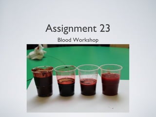 Assignment 23
Blood Workshop
 