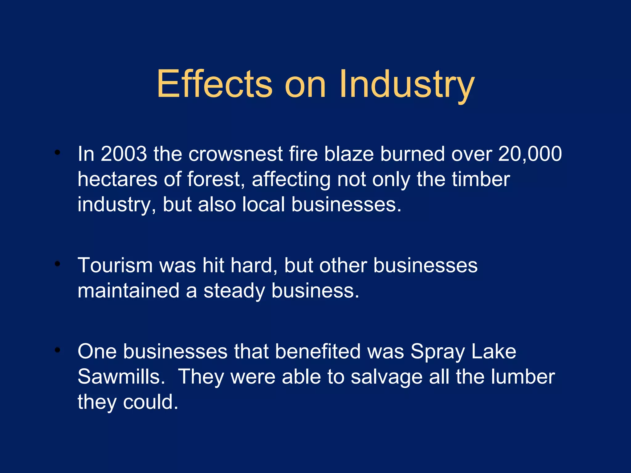 Effects on Industry In 2003 the crowsnest fire blaze burned over 20,000 hectares of forest, affecting not only the timber industry, but also local businesses. Tourism was hit hard, but other businesses maintained a steady business. One businesses that benefited was Spray Lake Sawmills. They were able to salvage all the lumber they could.