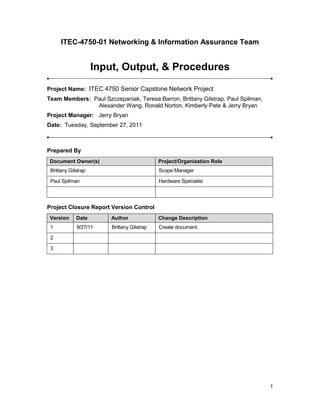 Input, Output, and Procedures | DOCX