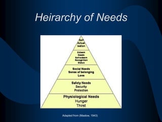 Learning Environment