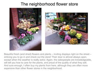The neighborhood flower store




Beautiful fresh (and dried) flowers and plants – inviting displays right on the street –
enticing you to go in and check out the store! Their door is almost always open,
except when the weather is really awful. Again, the salespeople are knowledgeable,
will tell you how to care for the plants, and proud of the quality of what they sell.
And sure enough, I often buy my plants from here, although they are often more
expensive than other flower stores in the neighborhood.
 