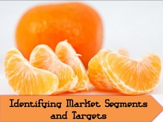 Identifying Market Segments
and Targets
 