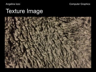 Texture Image
Angelina Izzo Computer Graphics
 
