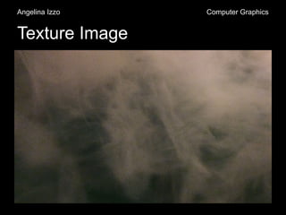 Texture Image
Angelina Izzo Computer Graphics
 