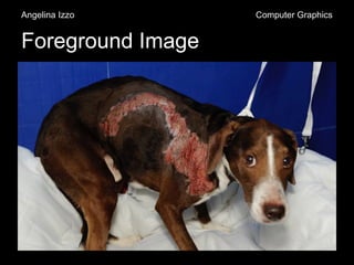 Foreground Image
Angelina Izzo Computer Graphics
 