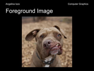 Foreground Image
Angelina Izzo Computer Graphics
 