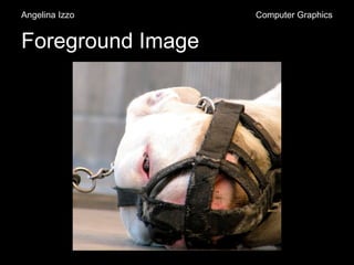 Foreground Image
Angelina Izzo Computer Graphics
 