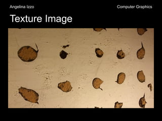 Texture Image
Angelina Izzo Computer Graphics
 