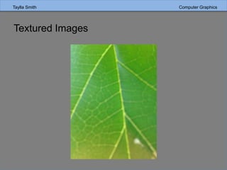 Taylla Smith Computer GraphicsTaylla Smith Computer Graphics
Textured Images
 