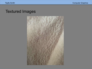 Taylla Smith Computer GraphicsTaylla Smith Computer Graphics
Textured Images
 