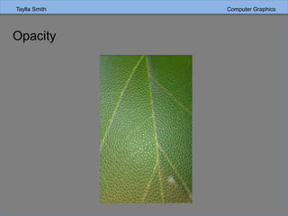 Taylla Smith Computer Graphics
Opacity
 