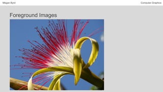 Megan Byrd Computer Graphics
Foreground Images
 