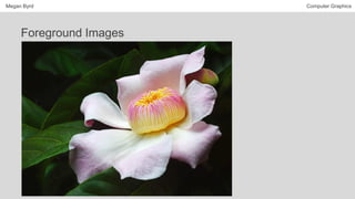 Megan Byrd Computer Graphics
Foreground Images
 