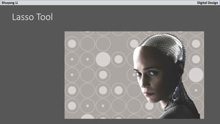 Shuyang Li Digital Design
Lasso Tool
 