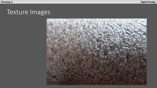 Shuyang Li Digital Design
Texture Images
 