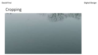 David Finzi Digital Design
Cropping
 
