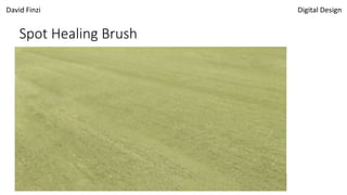 David Finzi Digital Design
Spot Healing Brush
 