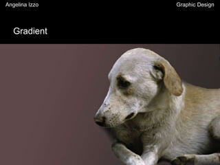 Gradient
Angelina Izzo Graphic Design
 