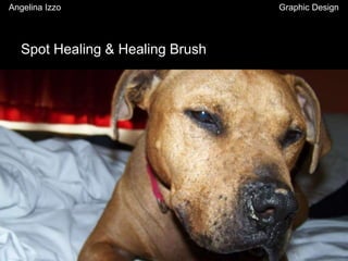Spot Healing & Healing Brush
Angelina Izzo Graphic Design
 