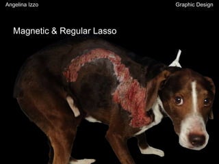 Magnetic & Regular Lasso
Angelina Izzo Graphic Design
 