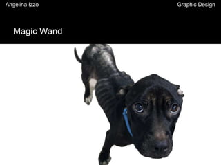Magic Wand
Angelina Izzo Graphic Design
 