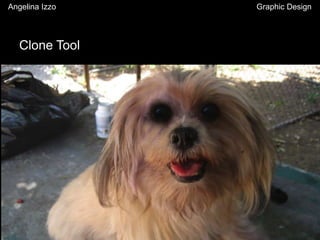 Clone Tool
Angelina Izzo Graphic Design
 