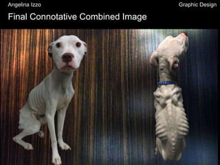 Angelina Izzo Graphic Design
Final Connotative Combined Image
 