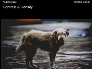 Contrast & Density
Angelina Izzo Graphic Design
 