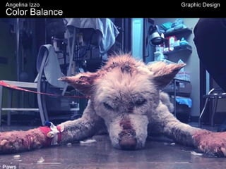 Color Balance
Angelina Izzo Graphic Design
 