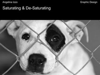 Saturating & De-Saturating
Angelina Izzo Graphic Design
 