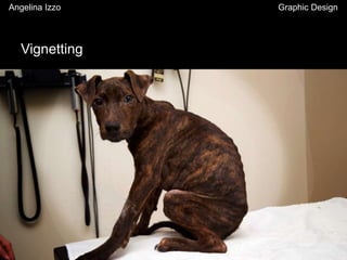 Vignetting
Angelina Izzo Graphic Design
 