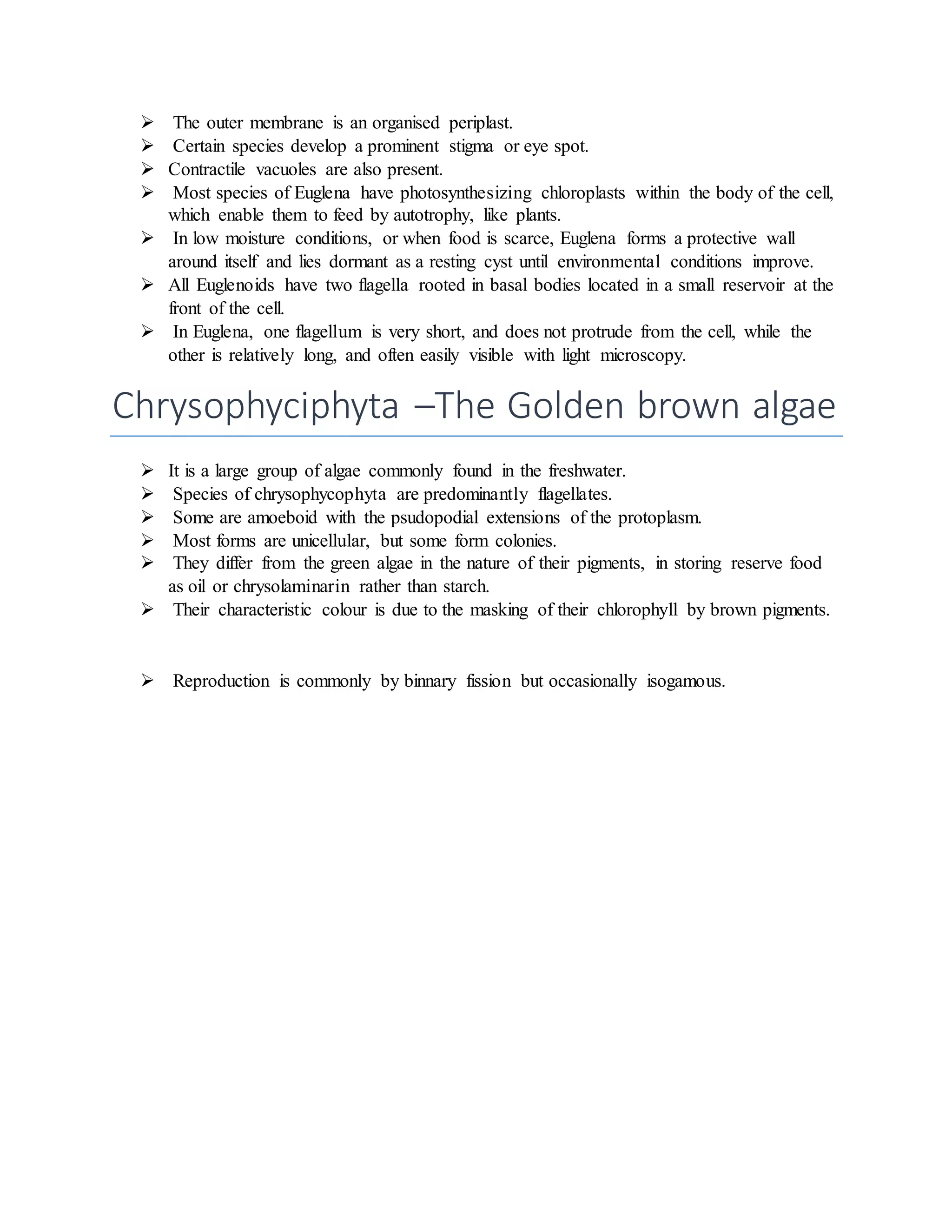  The outer membrane is an organised periplast.
 Certain species develop a prominent stigma or eye spot.
 Contractile vacuoles are also present.
 Most species of Euglena have photosynthesizing chloroplasts within the body of the cell,
which enable them to feed by autotrophy, like plants.
 In low moisture conditions, or when food is scarce, Euglena forms a protective wall
around itself and lies dormant as a resting cyst until environmental conditions improve.
 All Euglenoids have two flagella rooted in basal bodies located in a small reservoir at the
front of the cell.
 In Euglena, one flagellum is very short, and does not protrude from the cell, while the
other is relatively long, and often easily visible with light microscopy.
Chrysophyciphyta –The Golden brown algae
 It is a large group of algae commonly found in the freshwater.
 Species of chrysophycophyta are predominantly flagellates.
 Some are amoeboid with the psudopodial extensions of the protoplasm.
 Most forms are unicellular, but some form colonies.
 They differ from the green algae in the nature of their pigments, in storing reserve food
as oil or chrysolaminarin rather than starch.
 Their characteristic colour is due to the masking of their chlorophyll by brown pigments.
 Reproduction is commonly by binnary fission but occasionally isogamous.
 