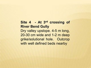 Site 4 - At 3rd crossing of
River Bend Gully
Dry valley upslope. 4-5 m long,
20-30 cm wide and 1-2 m deep
grike/solutional hole. Outcrop
with well defined beds nearby
 