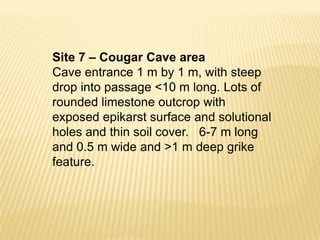Site 7 – Cougar Cave area
Cave entrance 1 m by 1 m, with steep
drop into passage <10 m long. Lots of
rounded limestone outcrop with
exposed epikarst surface and solutional
holes and thin soil cover. 6-7 m long
and 0.5 m wide and >1 m deep grike
feature.
 