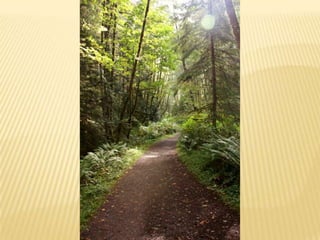 Assignment 3 field photos  notes, september 18, 2011