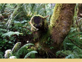 Assignment 3 field photos  notes, september 18, 2011