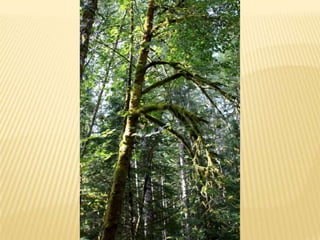 Assignment 3 field photos  notes, september 18, 2011