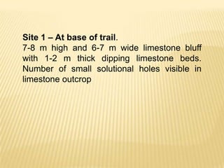 Site 1 – At base of trail.
7-8 m high and 6-7 m wide limestone bluff
with 1-2 m thick dipping limestone beds.
Number of small solutional holes visible in
limestone outcrop
 