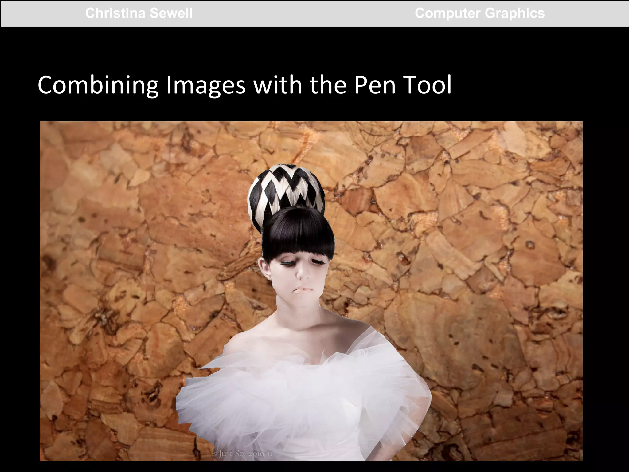 Christina Sewell

Computer Graphics

Combining	
  Images	
  with	
  the	
  Pen	
  Tool	
  

 