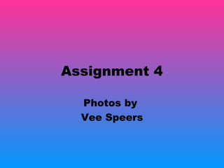 Assignment 4
Photos by
Vee Speers
 