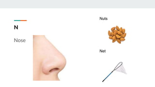 N
Nose
Nuts
Net
 