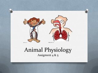 Animal Physiology
Assigment 4 & 5

 
