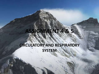 ASSIGNMENT 4 & 5
CIRCULATORY AND RESPIRATORY
SYSTEM

 