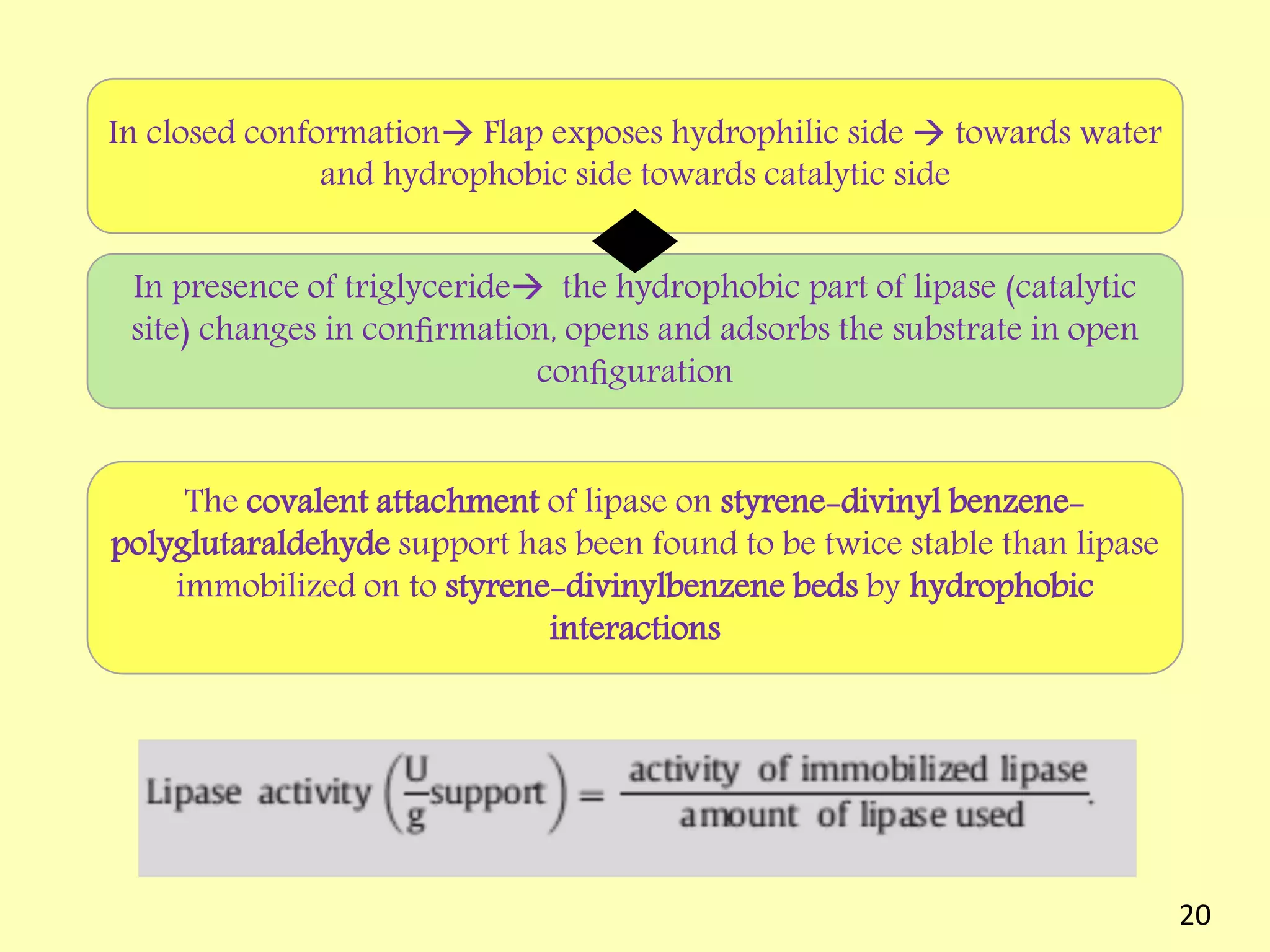 The covalent attachment of lipase on styrene-divinyl benzene-
polyglutaraldehyde support has been found to be twice stable than lipase
immobilized on to styrene-divinylbenzene beds by hydrophobic
interactions
In closed conformation Flap exposes hydrophilic side  towards water
and hydrophobic side towards catalytic side
In presence of triglyceride the hydrophobic part of lipase (catalytic
site) changes in conﬁrmation, opens and adsorbs the substrate in open
conﬁguration
20
 
