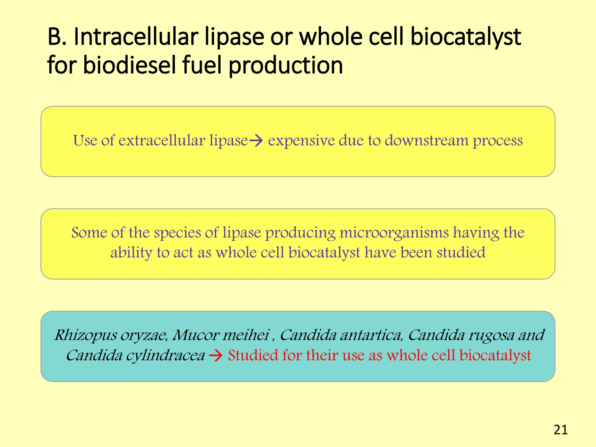 B. Intracellular lipase or whole cell biocatalyst
for biodiesel fuel production
Use of extracellular lipase expensive due to downstream process
Some of the species of lipase producing microorganisms having the
ability to act as whole cell biocatalyst have been studied
Rhizopus oryzae, Mucor meihei , Candida antartica, Candida rugosa and
Candida cylindracea  Studied for their use as whole cell biocatalyst
21
 