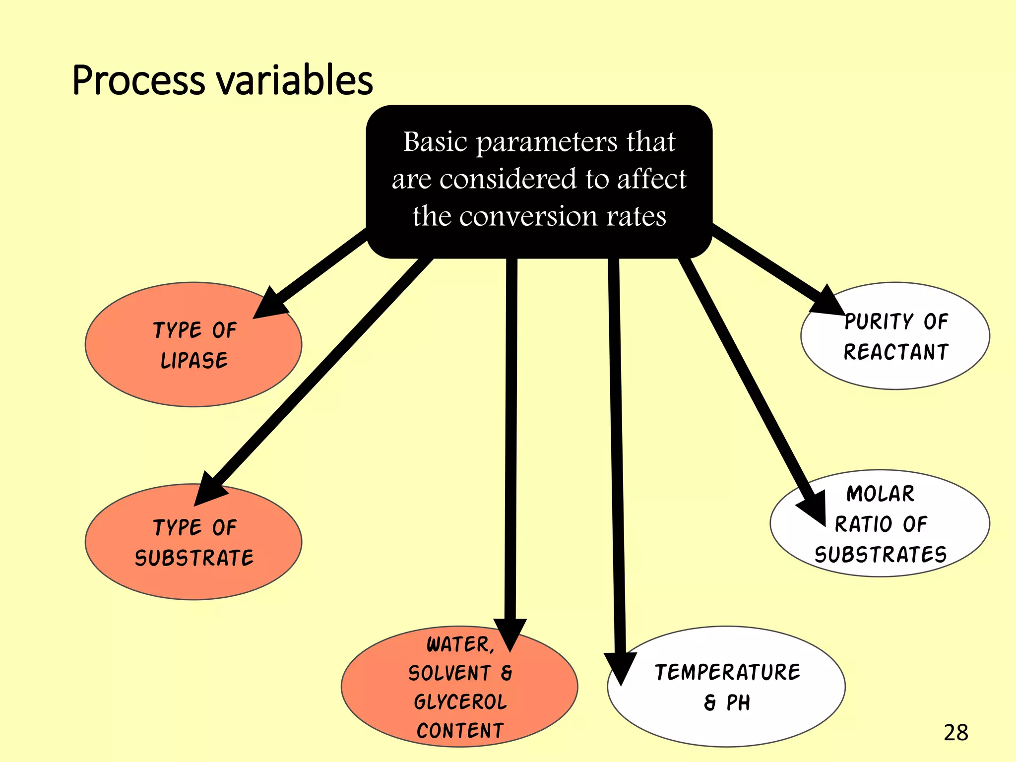 Process variables
Basic parameters that
are considered to affect
the conversion rates
Type of
lipase
Type of
substrate
Temperature
& pH
Water,
solvent &
glycerol
content
Molar
ratio of
substrates
Purity of
reactant
28
 