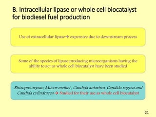 Biodiesel production process | PDF